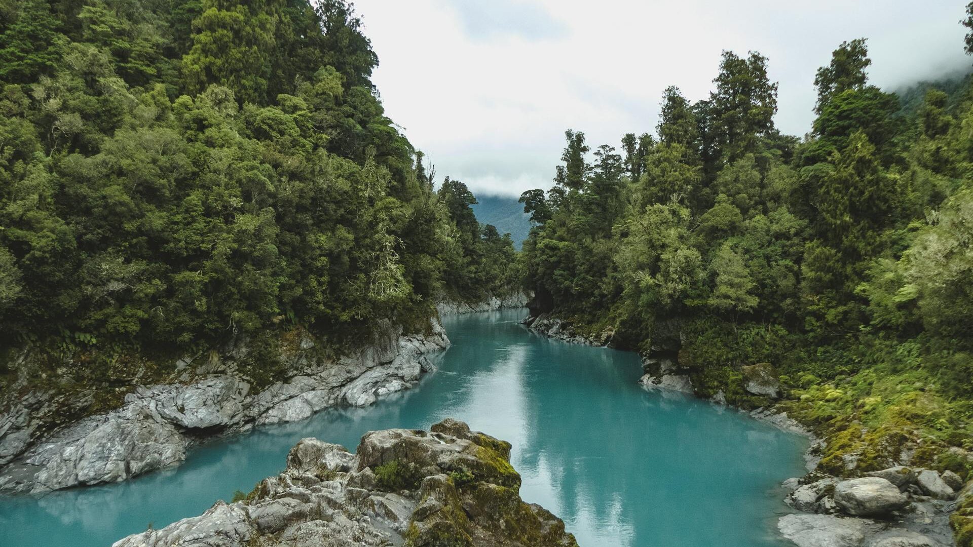 Kokatahi, West Coast, New Zealand